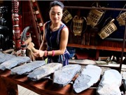 Đàn đá: Nhạc cụ gõ cổ xưa của Việt Nam